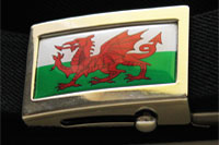 Devanet betls welsh flag buckle